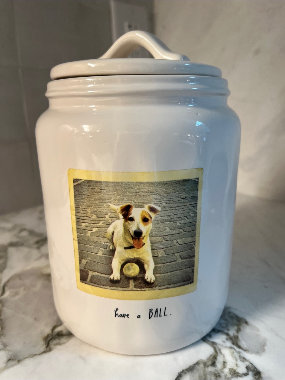 Rae Dunn Dog Have A Ball Treat Canister